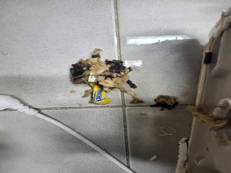 의왕 물티슈가 정화조를 막는 이유